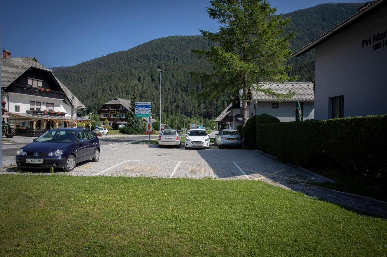 Apartments Villa Ajda Краньска Гора Экстерьер фото